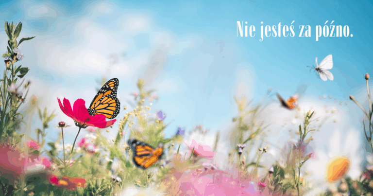 Nie jesteś za późno.